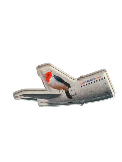 PIN JETSMART